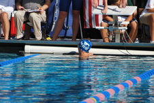 Enlarge photo 230