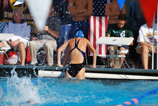 Enlarge photo 231