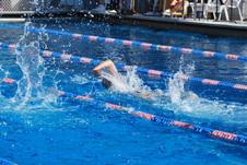 Enlarge photo 233