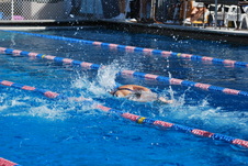 Enlarge photo 234