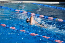 Enlarge photo 235