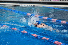 Enlarge photo 236