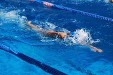 Enlarge photo 237