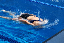 Enlarge photo 238