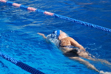 Enlarge photo 239