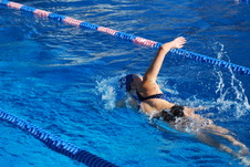 Enlarge photo 241