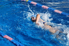 Enlarge photo 242