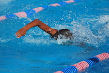 Enlarge photo 244