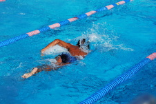 Enlarge photo 251