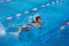 Enlarge photo 252