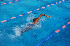 Enlarge photo 253