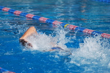 Enlarge photo 259