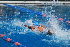 Enlarge photo 261