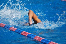 Enlarge photo 263
