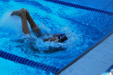 Enlarge photo 264