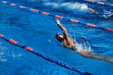 Enlarge photo 266