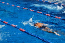 Enlarge photo 267