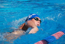 Enlarge photo 279