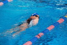Enlarge photo 295