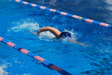 Enlarge photo 307