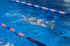 Enlarge photo 309