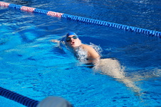 Enlarge photo 310
