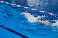 Enlarge photo 312