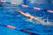 Enlarge photo 314