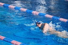 Enlarge photo 315