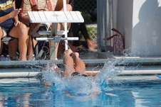 Enlarge photo 338