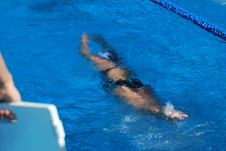 Enlarge photo 339