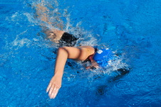 Enlarge photo 342