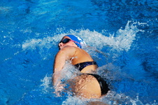 Enlarge photo 344