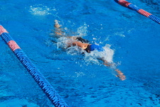 Enlarge photo 354