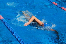 Enlarge photo 355