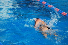 Enlarge photo 356