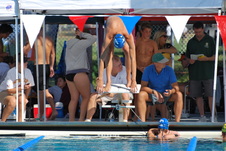 Enlarge photo 374