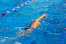 Enlarge photo 378