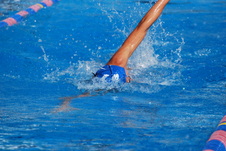 Enlarge photo 379