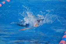 Enlarge photo 380