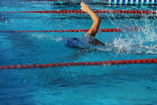 Enlarge photo 29