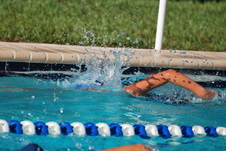 Enlarge photo 39