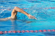 Enlarge photo 59