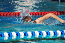 Enlarge photo 62