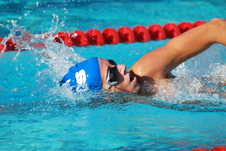 Enlarge photo 74