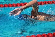 Enlarge photo 76