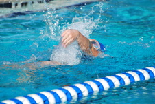 Enlarge photo 90