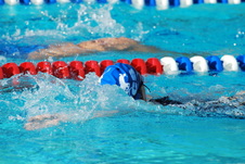 Enlarge photo 94