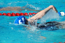 Enlarge photo 95