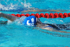 Enlarge photo 96